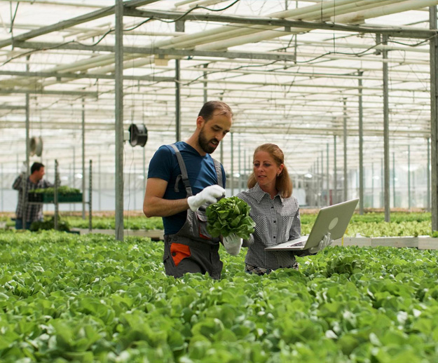 Agriculture