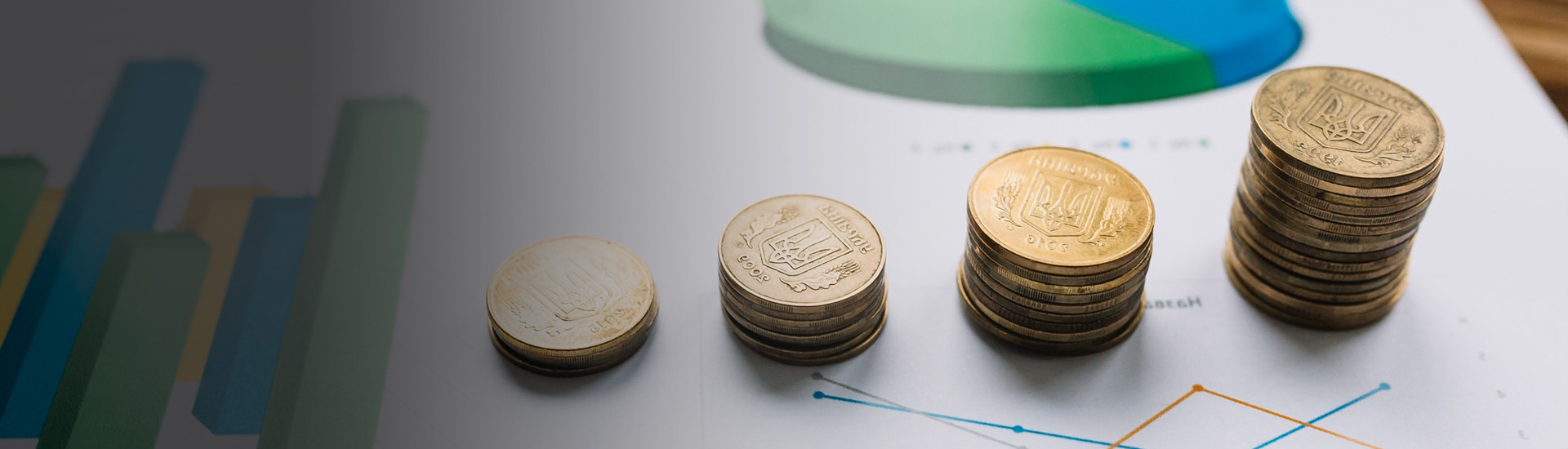 Investment and Transaction Support