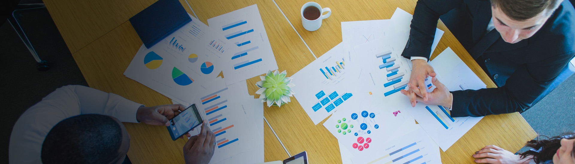 Strategic Advisory & Public Policy